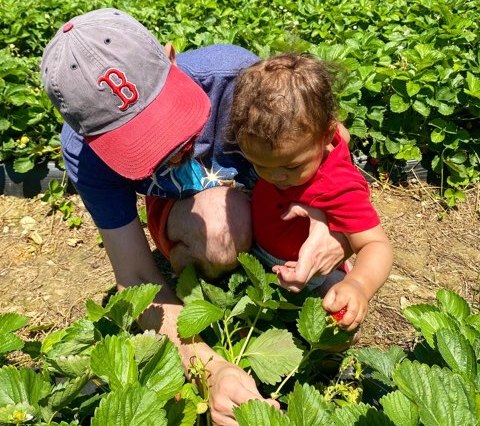 man and baby in strawberry field