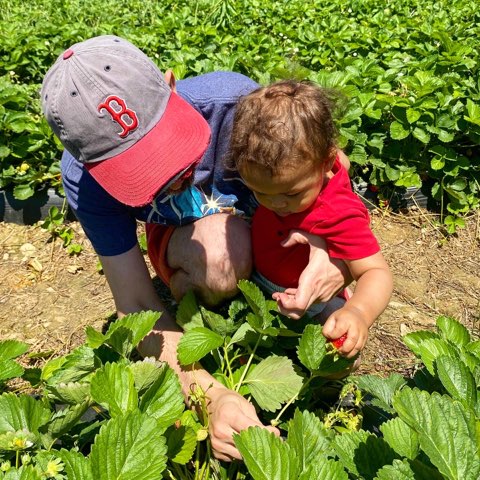 man and baby in strawberry field